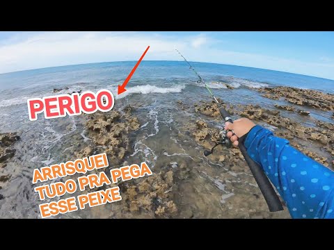 AVENTURAS EM UMA ILHA INABITÁVEL! veja só o que aconteceu nessa pescaria