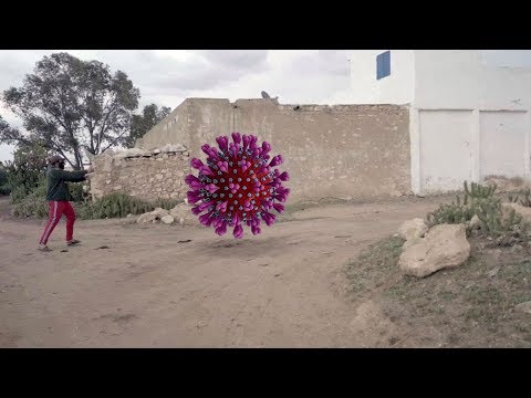 فاش كيشدك فيروس كورونا شخصيا أوكتندم