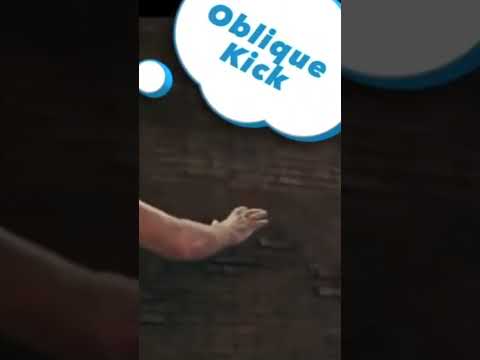 Bruce Lee and the Fake Oblique Kick #brucelee #chucknorris #wayofthedragon  #jeetkunedo