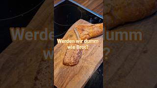 Vollkornbrot oder Weißbrot? Was ist nun besser / gesünder?