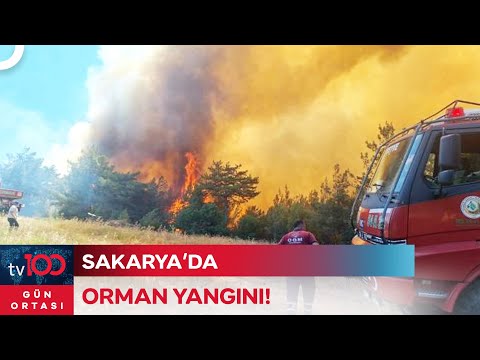 Taraklı Belediye Başkanı Yangındaki Son Durumu Aktardı | Gün Ortası