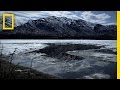 Survival in the Wilderness