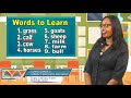 Understanding Anna's Story and Vocabulary