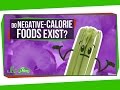 Understanding Calories and Diet-Induced Thermogenesis