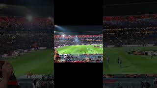 Kippenvel in De Kuip… Lee Towers met “Mijn Feyenoord” ✨🔴⚪ #Feyenoord #feyenoord_010fans #fyp