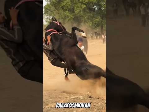 #subscribe #horseracing #horseriding #horselove #horsepower #horselife #youtubeshorts #horse