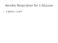 Energy Content and Metabolism Concepts