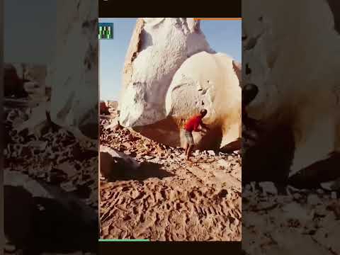 Most funny shots:15😆😆😆#funny #viralshort #funnyvideos #memes #shorsfeed #viralvideo #fails #shorts