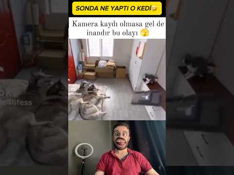 Hayvanlar Alemi 2 🤣