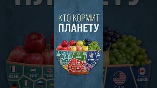 Кто кормит планету? #страны #еда #россия
