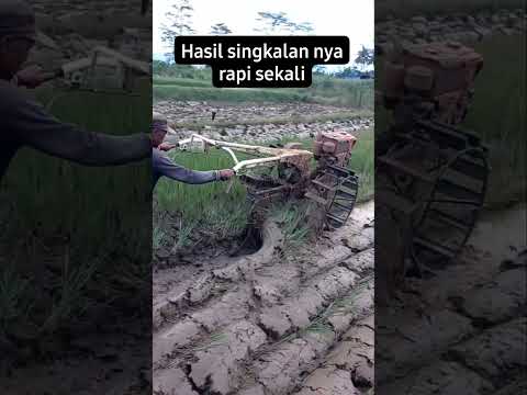 Bajak sawah