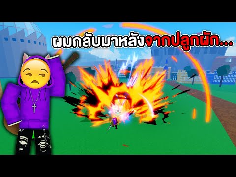 ผมกลับมาอีกครั้งหลังจากไปปลูกผักมา... | Blox Fruits