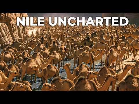 Down the Nile: the Desert’s Cradle of Life