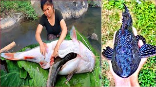 Unwind with Amazing Fishing Videos: Catching Seafood, Fish, Crab, Octopus | ASMR Relaxing #23