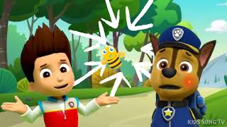 🤕 🩹 Boo Boo Song | Hospital Play | Hoi's Playground | Paw Patrol