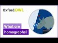 Exploring Homographs in English Grammar