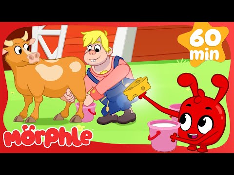 Morphle Learns How Cheese is Made at the Farm | Morphle's Family | Kids Cartoons