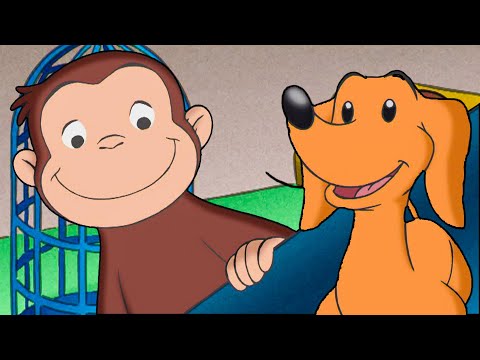 ワンコの救出大作戦! 🐵 おさるのジョージ