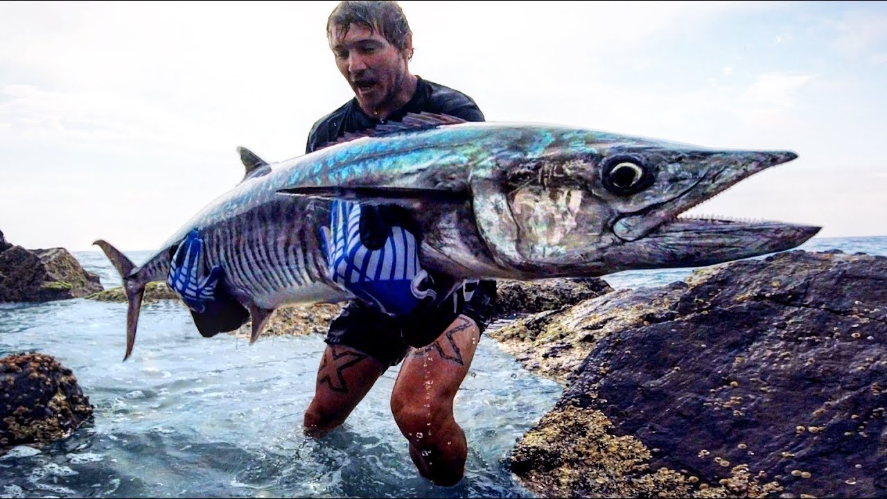 Rock Fishing on Steroids! Monster fish solo - Cavy Fishing