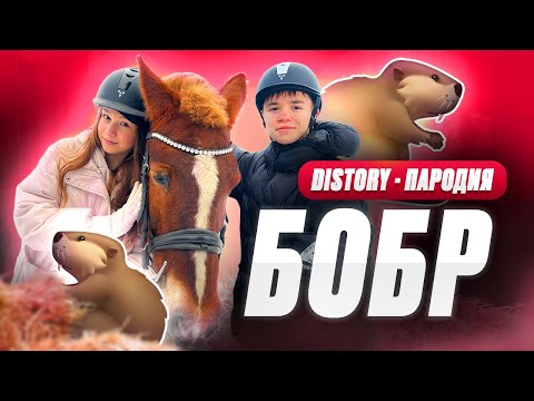 ПЕСНЯ ПРО БОБРА (ПАРОДИЯ) by DiStory