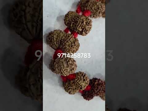 natural gaurishankar Nepali rudraksha kantha 27 dana #gemquality #hindugod #shivashakti