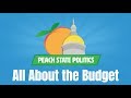 State Budget and Revenue Concepts