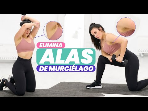 ADELGAZA ROLLITOS RÁPIDO 💪 Ejercicios para ELIMINAR GRASA BRAZOS