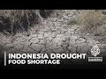 Impact of Drought in East Nusa Tenggara