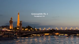 🇫🇷센강에서 가야금 자장가 1시간 연속듣기 | Gymnopedie no. 1