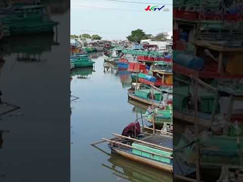 Tàu cá ngoài biển nhưng giám sát hành trình lại trên nóc nhà #shortshgtv