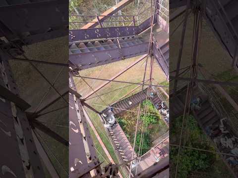 The top of the #overlooktower #pagrandcanyon #travel #nature #autumn #mountain #shorts #getaway