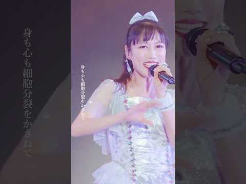 ＃ももクロ「BIRTH Ø BIRTH」 #ももクリ2024 LIVE BD&DVD 12.10 on Sale☃️