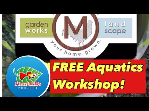 Mini Pond Workshop Livestream at Martinson’s Gar This was a free event offered to my local community where I demonstrate how to create a mini pond an
