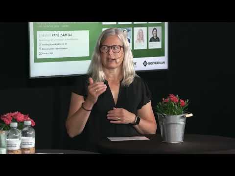 Almedalen 2025 - Panelsamtal Sammanfattning