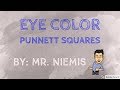 Exploring Eye Color Genetics and Punnett Squares