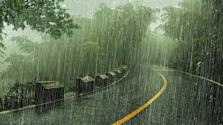 숲이 전해주는 상쾌함과 시원한 빗소리, 스트레스 해소, 불면증 끝 숙면을 위한 백색소음 ASMR, Relax #103