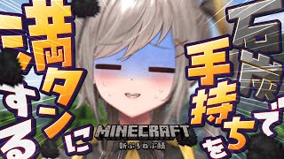 ■ 【 minecraft 】今日は石炭で手持ちを満タンにします✨【 #Vtuber 】‬【#鈴莉れん】
