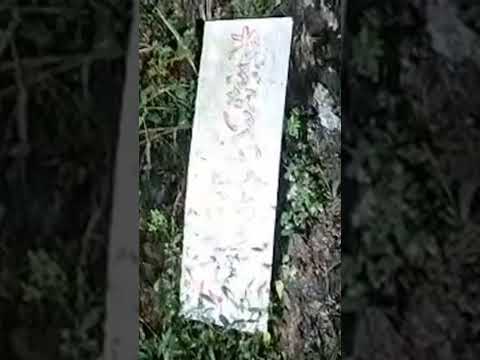 （ショート動画）朽ちた看板　#廃墟 #心霊スポット #心霊