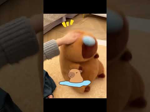 This capybara's runny nose can dance...  #funny #cute #capybara #plushtoys