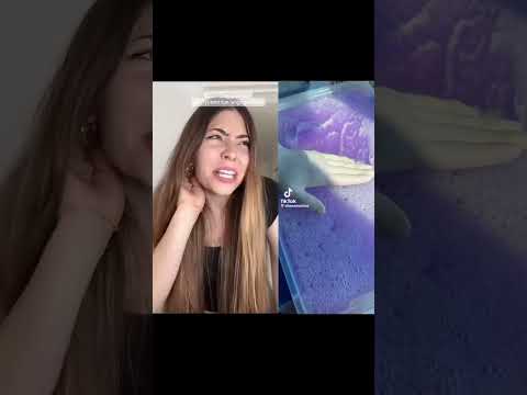 hdjdbobumju 7372224384930417953