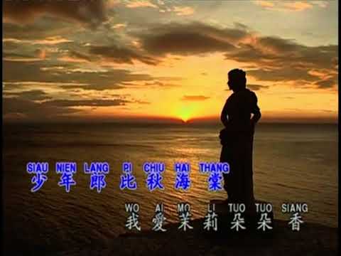 王威翔, 陳麗媚   探情【Original Karaoke】