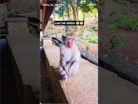 😁 Last 😀 tak 🪭 dekho 😁😀🪭#shorts #youtubeshorts #funny