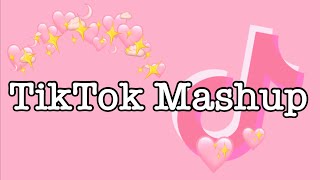 TikTok Mashup February 2022 (not clean)