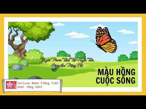 #204 Bước từng bước | Truyện ngắn: Màu hồng cuộc sống