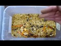 Mealworm Colony Science Project