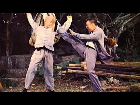 The Fist Of Ninja || Best Chinese Martial Art Action Movie in English ll Hollywood Dubbed