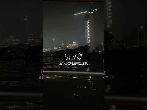 কুরআন তিলাওয়াত : সূরা ও ইসলামিক শর্টস I Quran Tilawat : Surah & Islamic Shorts