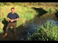 Habitat Assessment and Stream Health