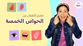 الحواس الخمسة للاطفال باللغة العربية | الألوان - أقسام الوجه - أصوات الحيوانات