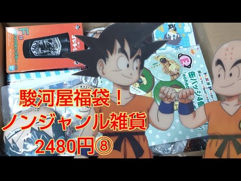 駿河屋福袋！ノンジャンル雑貨2480円⑧